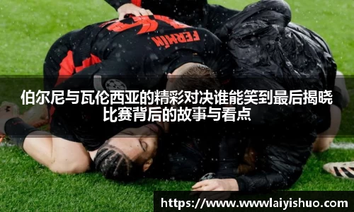 bsports官网入口