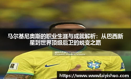 bsports官网入口