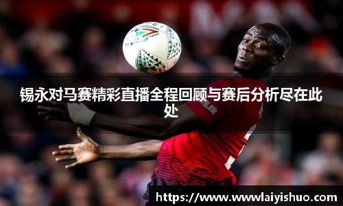 bsports官网入口